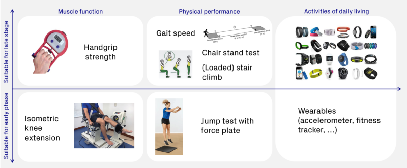 Body Function Test Underneath the lost kilos: Muscle composition, preservation and ...